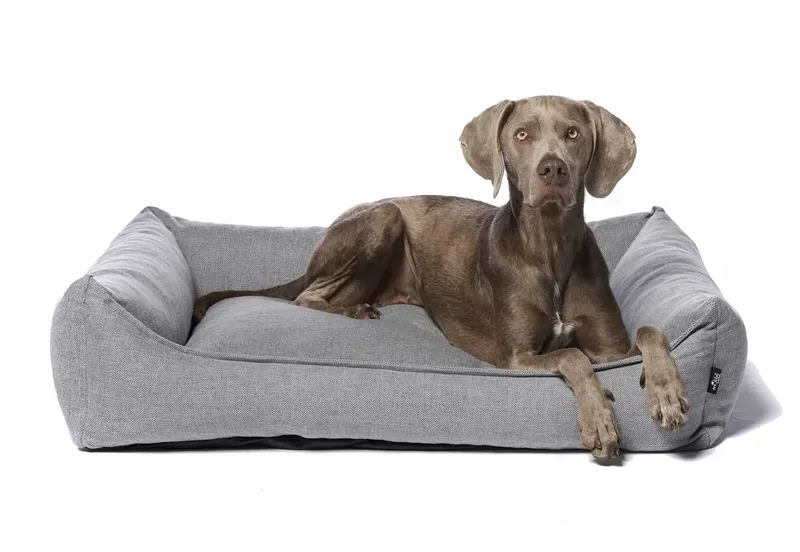 SnObbs Kingston Orthopedische mand