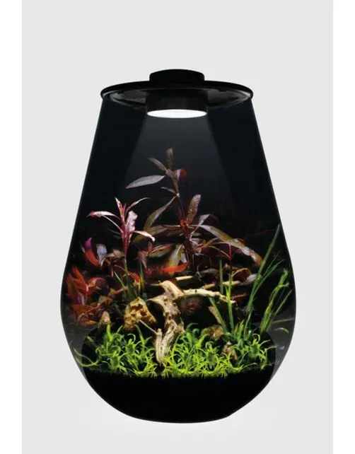 Superfish Bio Art Drop 345 zwart