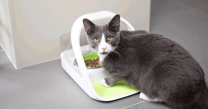 Sure Petcare SureFeed Microchip Voerautomaat Connect
