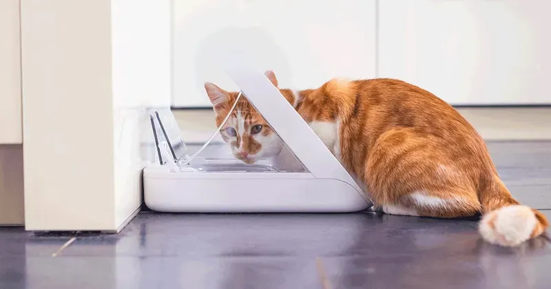Sure Petcare SureFeed Microchip Voerautomaat