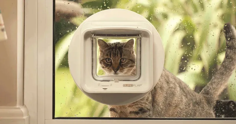 Sure Petcare SureFlap DualScan Microchip Kattenluik