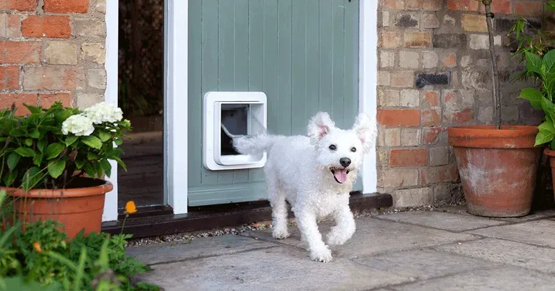 Sure Petcare SureFlap Microchip Huisdierluik XXL
