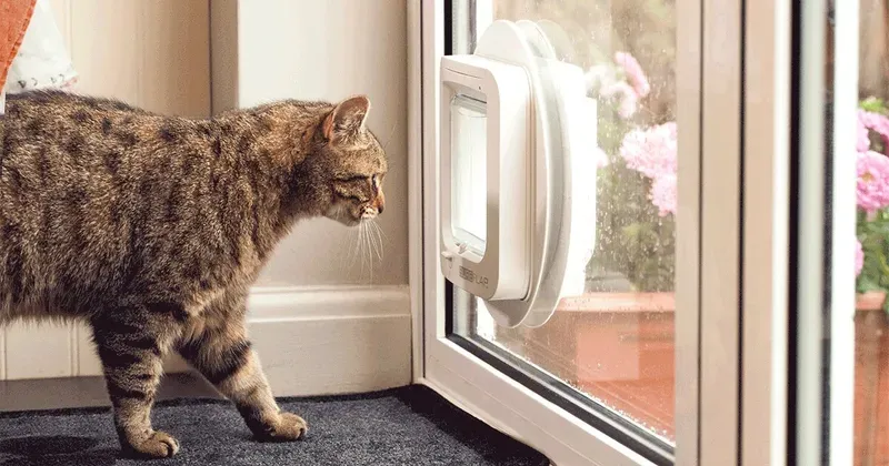 Sure Petcare SureFlap Microchip Kattenluik
